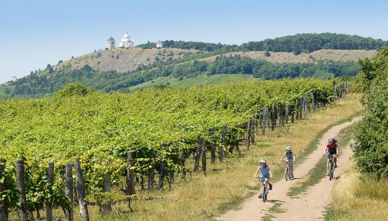Nejklidnejsi Spanek S Vyhlidkou Vyhradne Pro Nekuraky - Vistaria - Na Hradbach 5 Homestay *