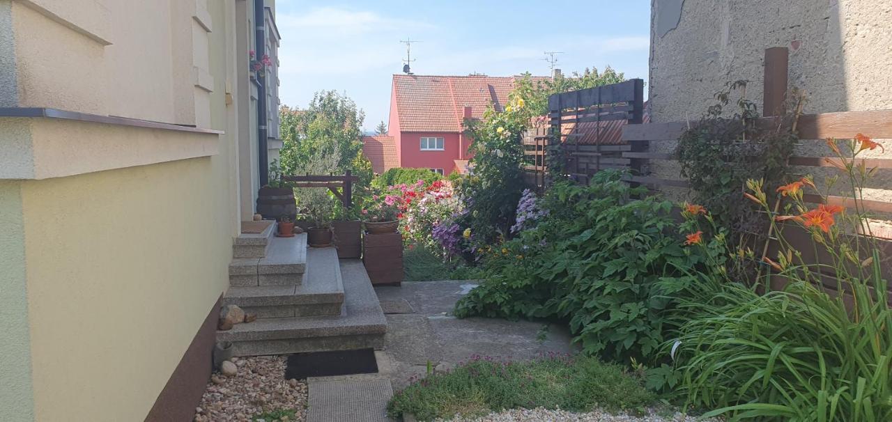 Homestay Nejklidnejsi Spanek S Vyhlidkou Vyhradne Pro Nekuraky - Vistaria - Na Hradbach 5 *