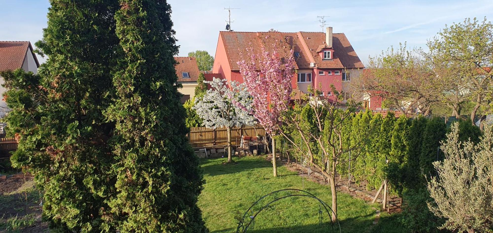 Homestay Nejklidnejsi Spanek S Vyhlidkou Vyhradne Pro Nekuraky - Vistaria - Na Hradbach 5